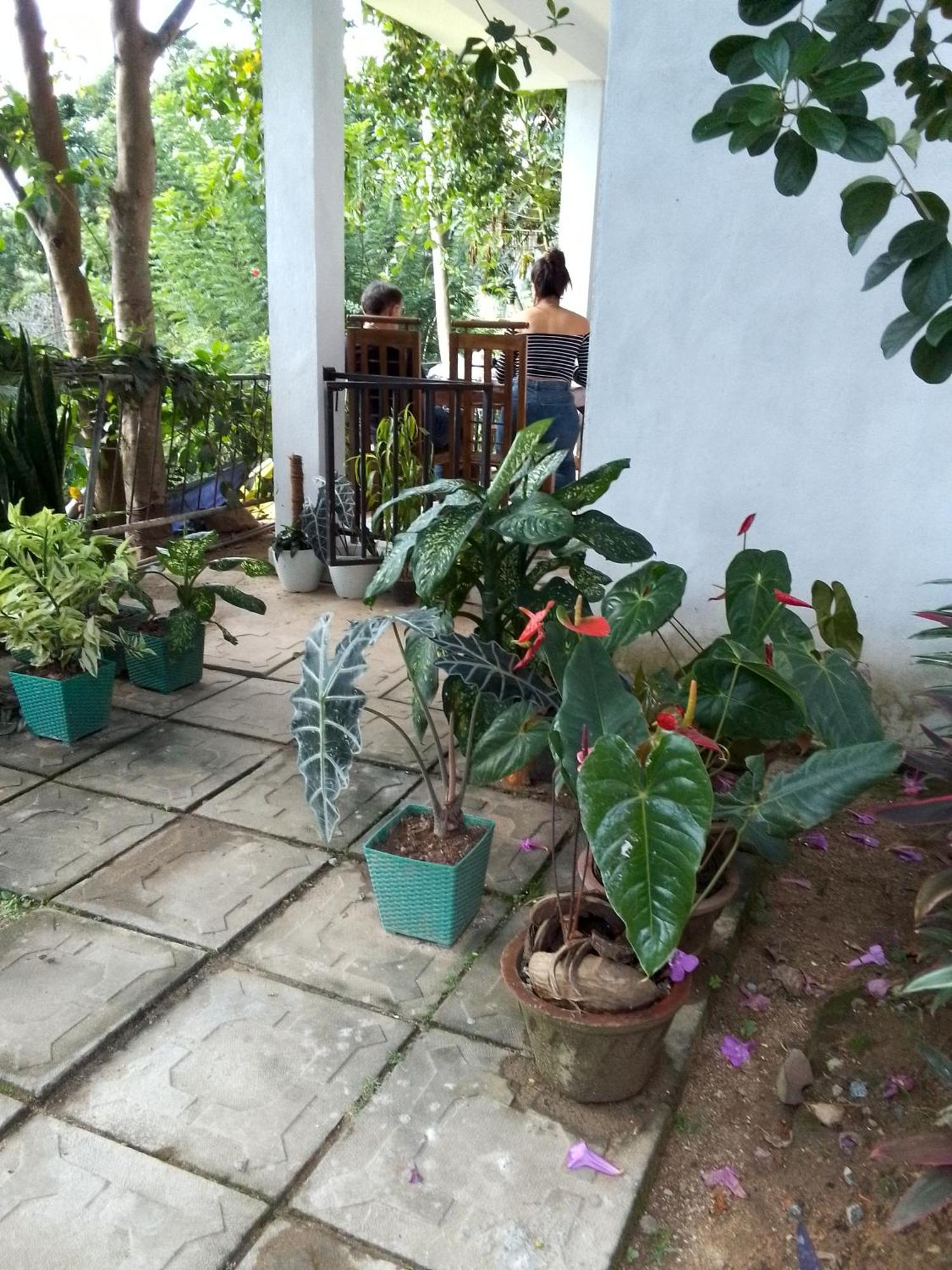 Charming View Homestay Procida Oda fotoğraf