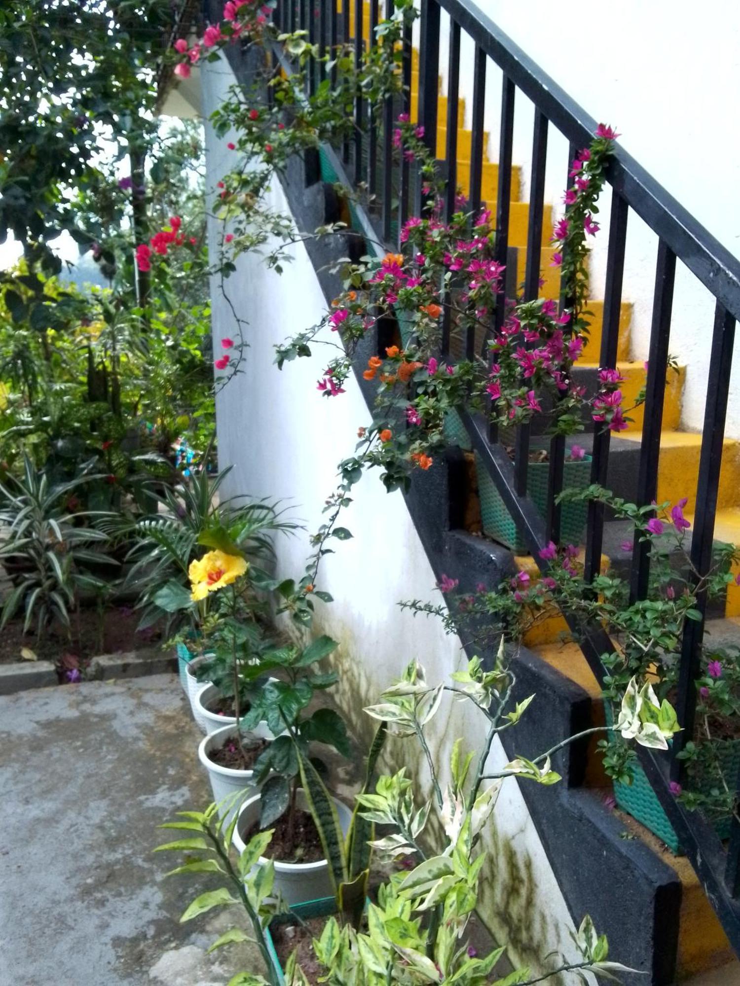 Charming View Homestay Procida Dış mekan fotoğraf